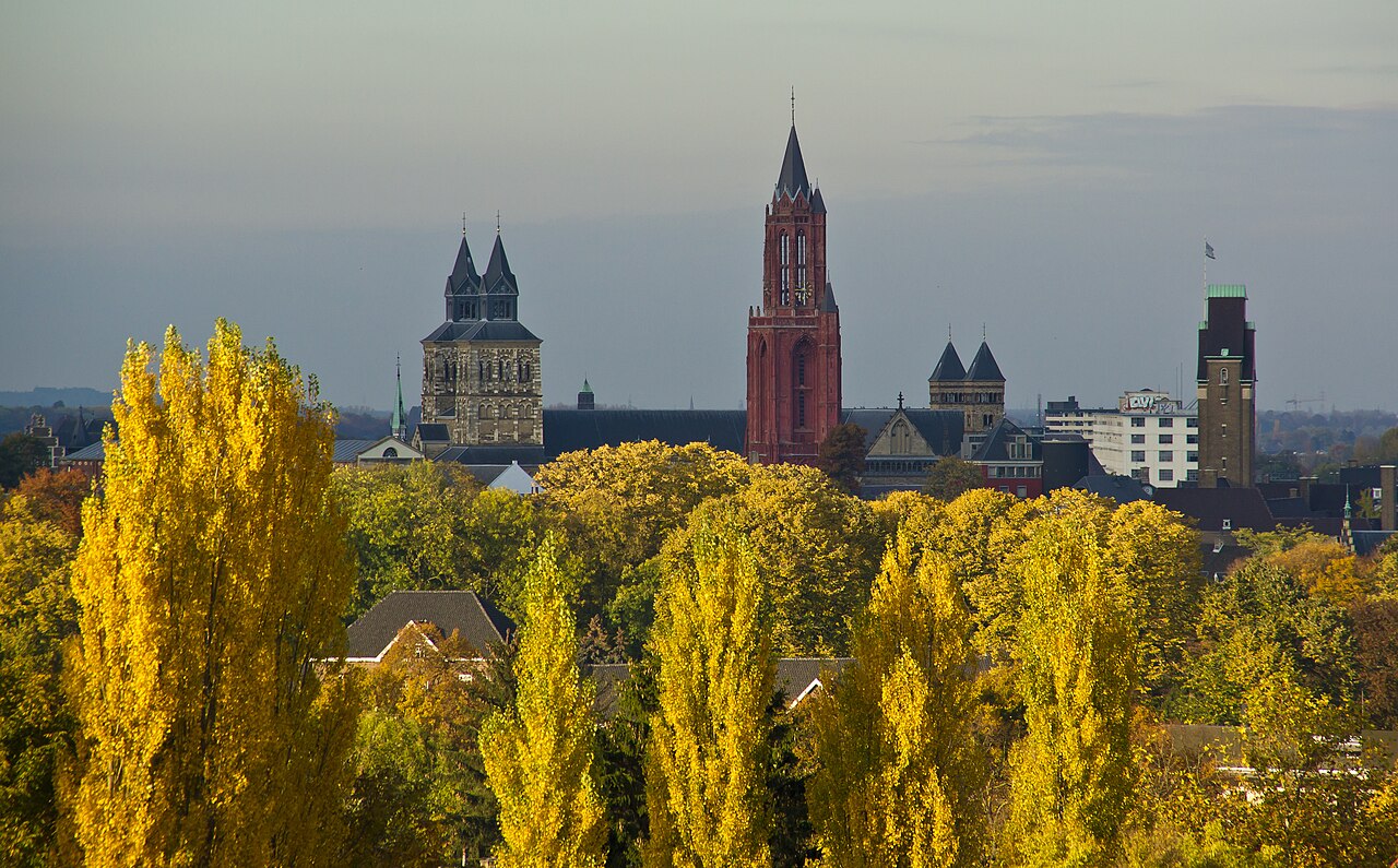 The Maastricht skyline from the river.